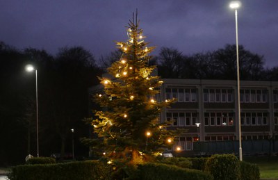Weihnachten auf dem Campus: Oh Tannenbaum,  oh Tannenbaum…