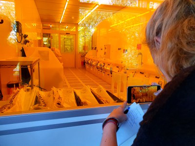 Social-Media-Takeover am Tag der Neugier