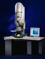 F20-STEM_small.jpg