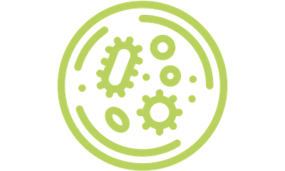 Biotechnologie 5_3.png