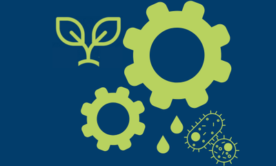 Verfahrenstechnik edit.png