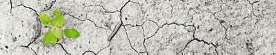 climate-change-1325882_1920_highlight_325.jpg