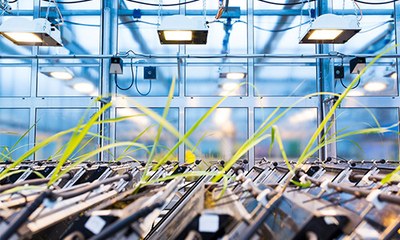 Teaser Helmholtz Forschung 2.jpg