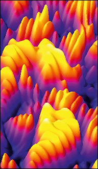 JSMD-2015-Bild.jpg