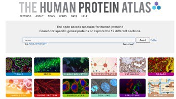 BioSoft Colloquium: The Human Protein Atlas, a resource for lifescience researchers