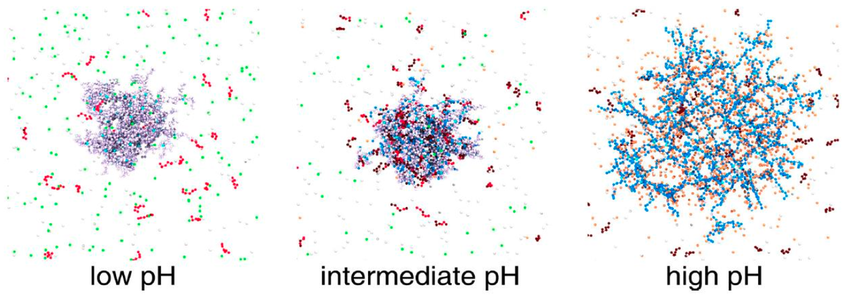 IAS-2 Seminar: Monte Carlo Simulations of pH-sensitive polyelectrolyte microgels