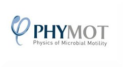 PhyMot2