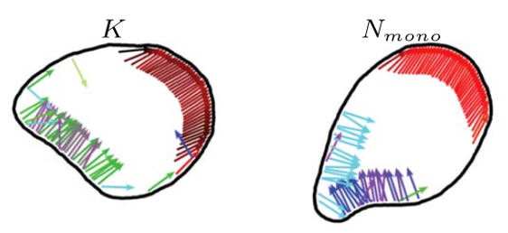 Artificial-cells.png