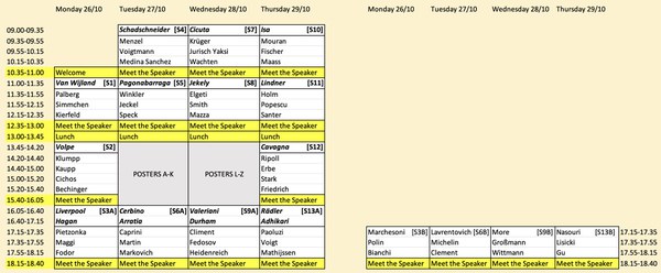 Microswimmers-Int-Con-TimeTable_2020.jpg