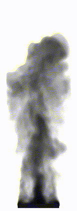 intro_plume_movie.gif