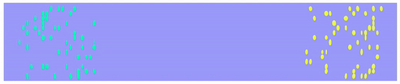 lane_formation_gif.gif
