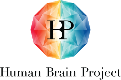Nächste Phase des Human Brain Project gestartet