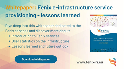 Whitepaper über die Bereitstellung von Fenix-Diensten und die in ICEI gewonnenen Erkenntnisse