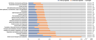 927 expression expression profiles for the microbial cell factory Corynebacterium.png