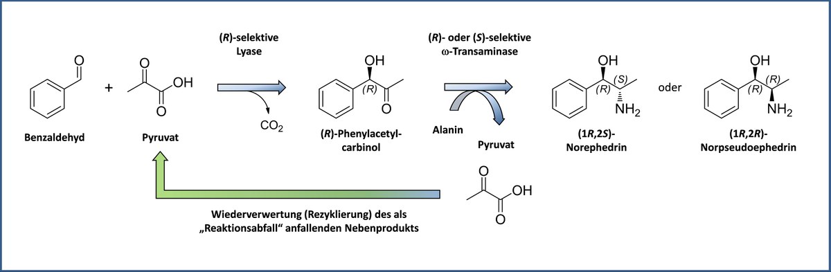 Graphic to enzyme cascade