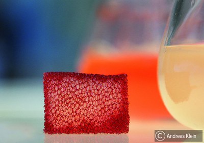 Enzyme in der Biokatalyse.jpg