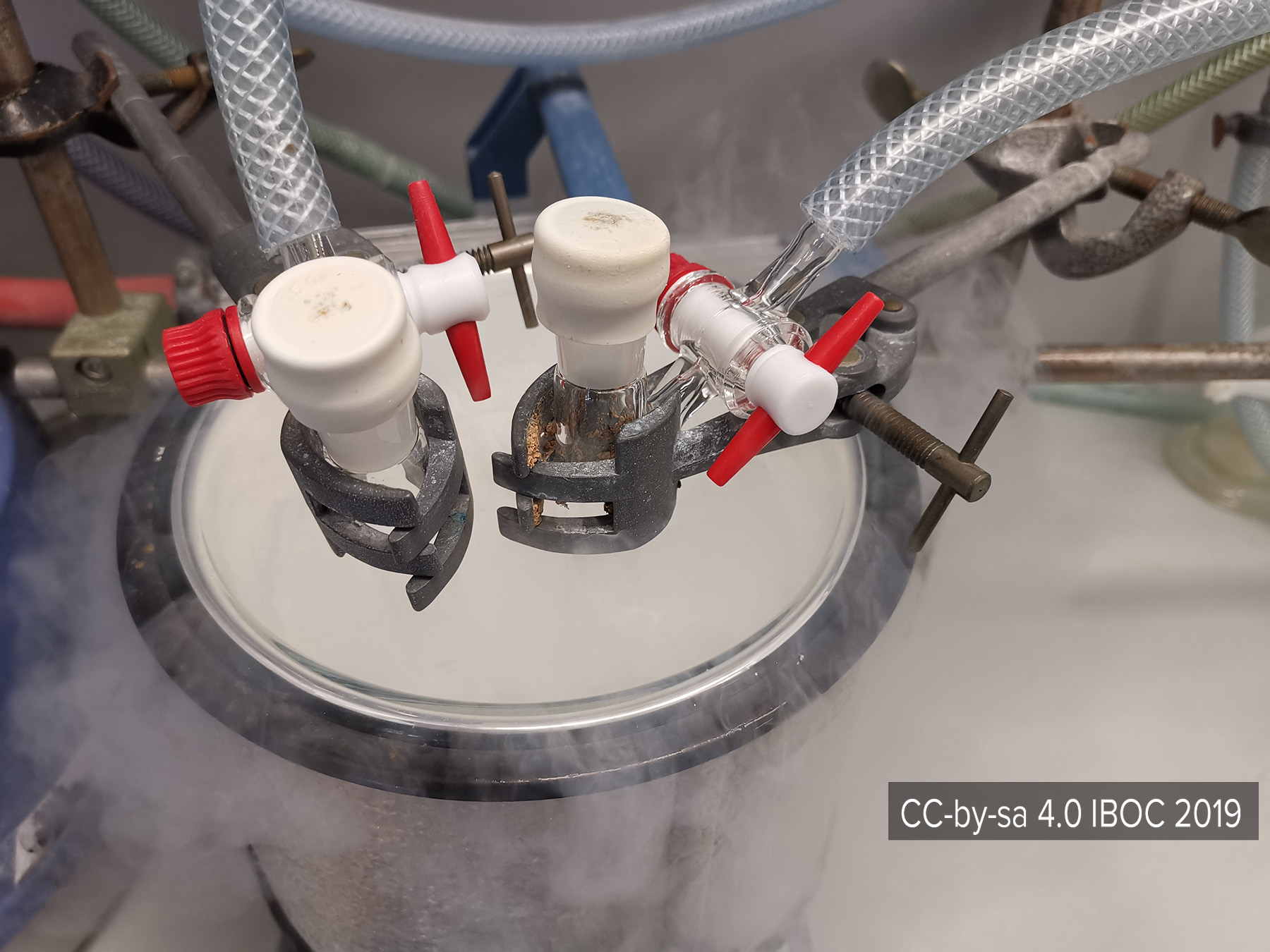 Bioorganische Chemie