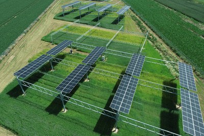 Eine Fläche, zwei Ernten - Spielt der Klimawandel der Agriphotovoltaik in die Karten?