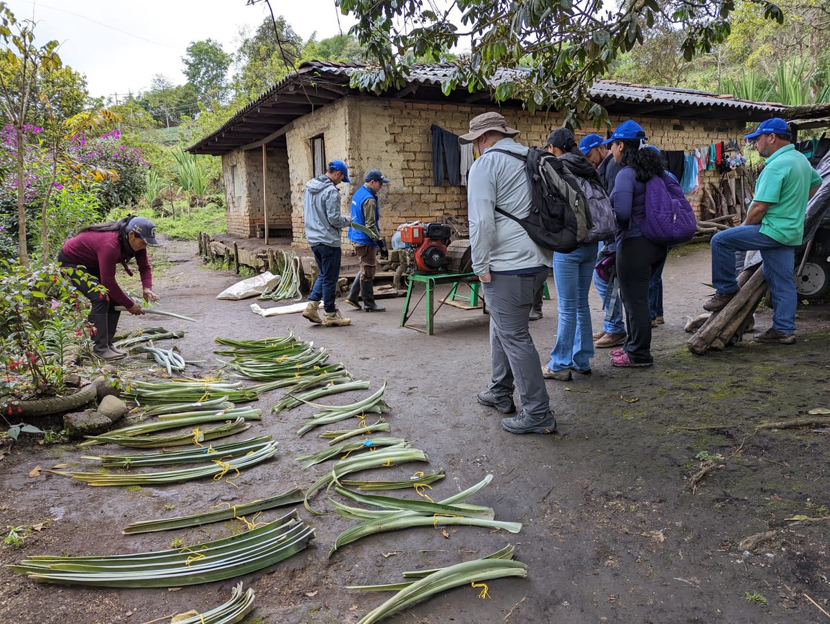 PinaFibre project workshop