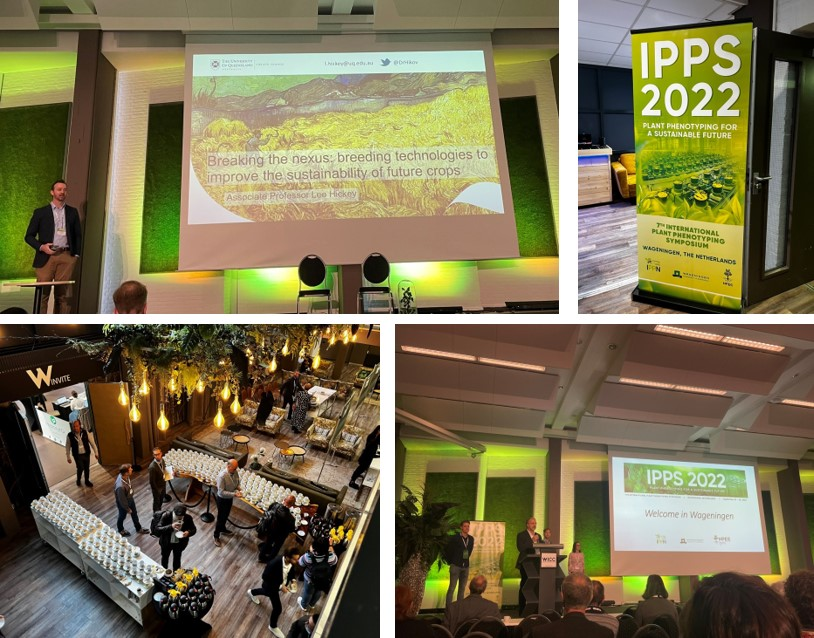 Wrap-Up IPPS 2022