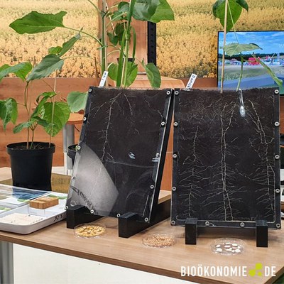 Bioökonomie_Hannovermesse_002.jpg