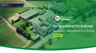 Perfekter Salat aus der Fabrik?