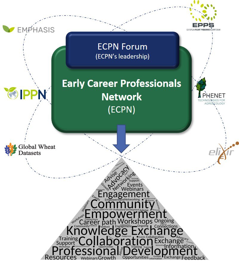 Call for Participation: Shape the Future of Plant Phenomics – Join the Early Career Professionals Network's Forum!