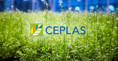 CEPLAS_Call22.jpg