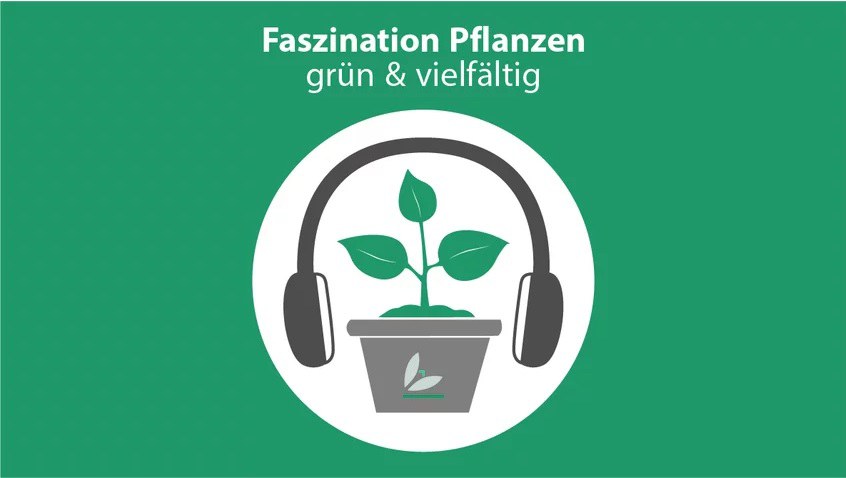 Podcast: Faszination Pflanzen - grün und vielfältig