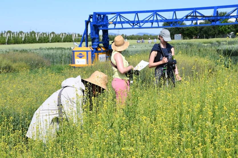 INTERNATIONAL FIELD CAMPAIGN ON SOLAR-INDUCED FLUORESCENCE SUCCESSFULLY COMPLETED