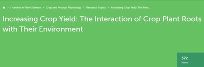 Call for Papers - Steigerung des Ernteertrags: Die Interaktion der Wurzeln von Nutzpflanzen mit ihrer Umwelt
