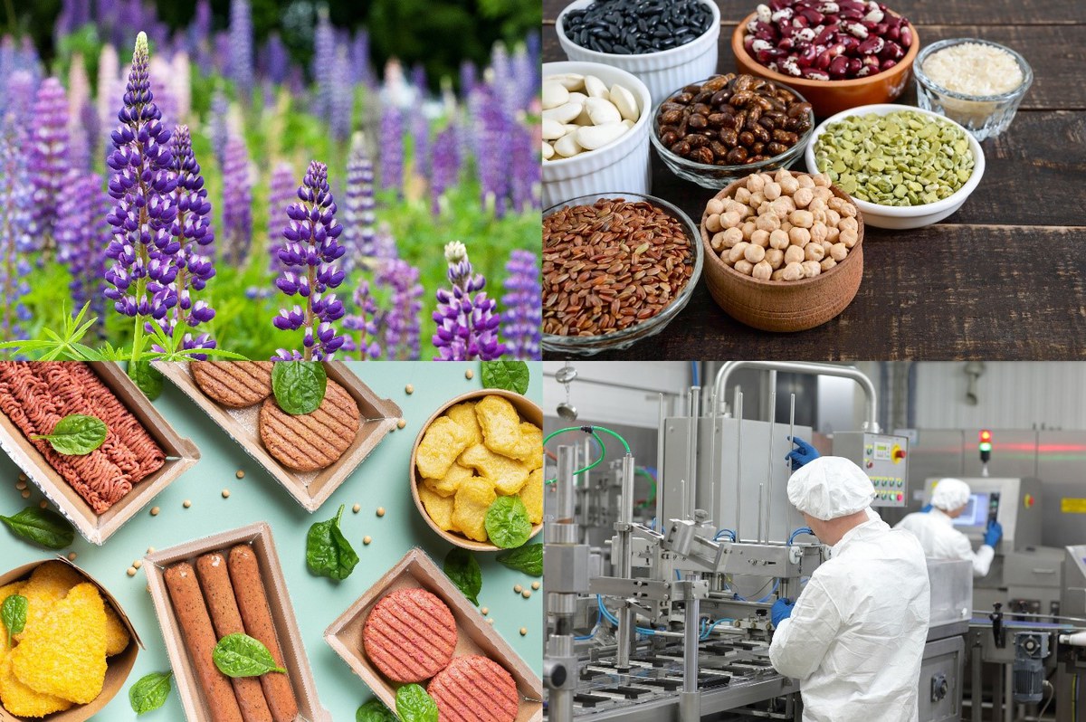 10th BioSC Spotlight: "Alternative Proteins made from Plants" September 3, 2024, RWTH Aachen University