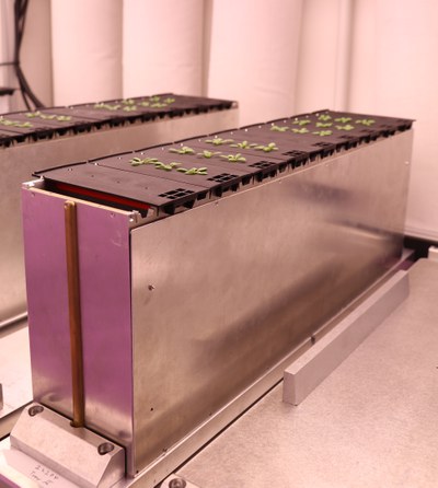 GrowScreenAgar 2