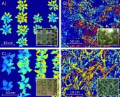 Leaf Angle Distribution Toolbox