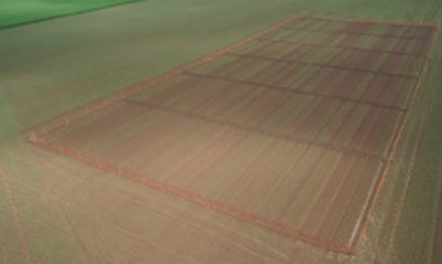 OpenSimRoot