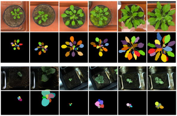 Qunatitative Image Processing