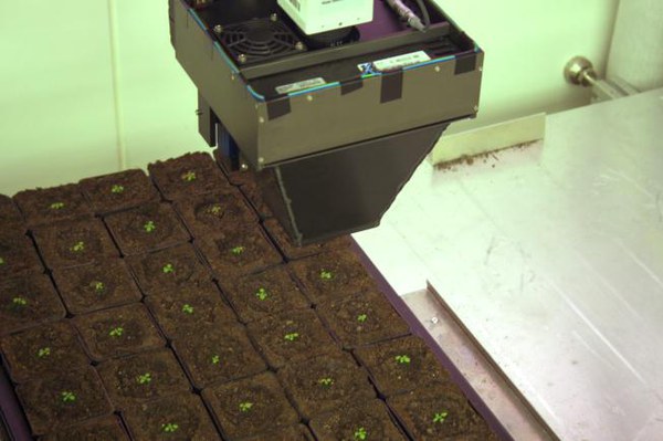 GROWSCREEN Chamber
