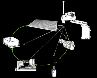 Seed Phenotyping