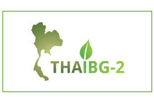 Pflanzenwissenschaften (IBG-2)