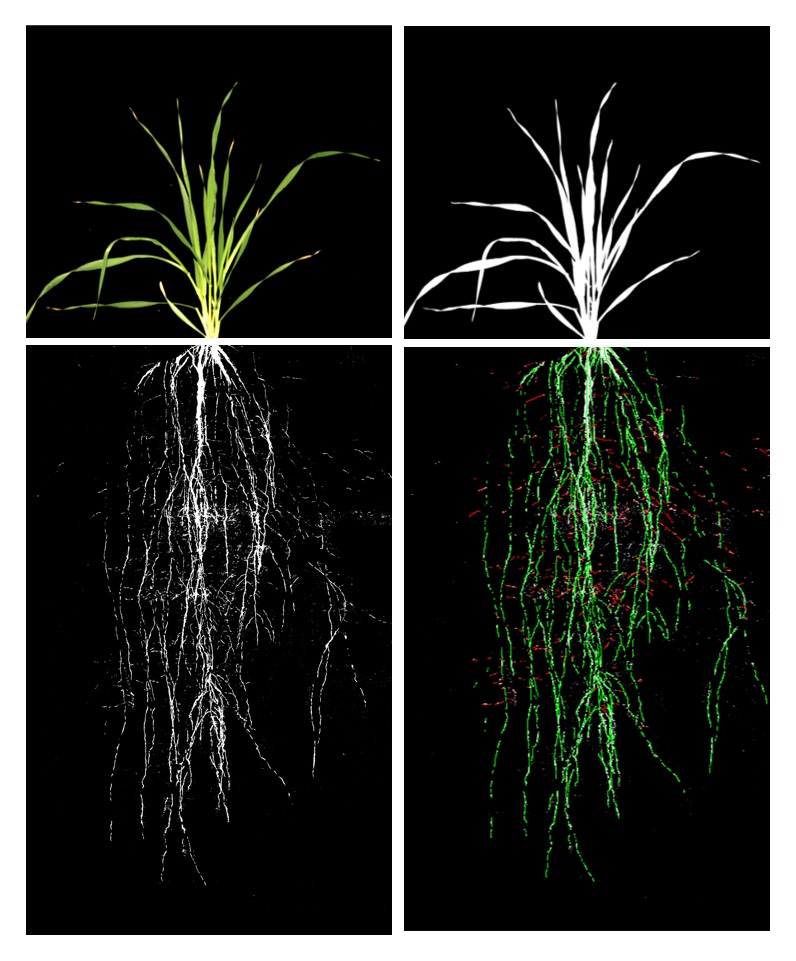 Jülich Plant Phenotyping Center