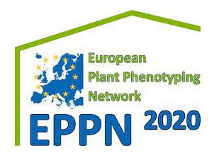 Europäisches Pflanzen-Phänotypisierung-Netzwerk (EPPN2020)