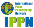 Logo IPPN