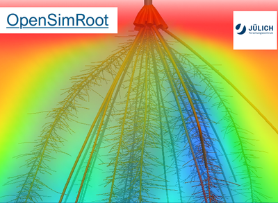 OpenSimRoot