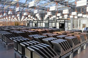 Technologie & Prozessentwicklung