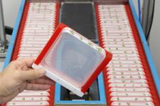Technologie & Prozessentwicklung