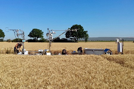 More CO2 in the Atmosphere: Heat and Drought Reduce Carbon Sinks