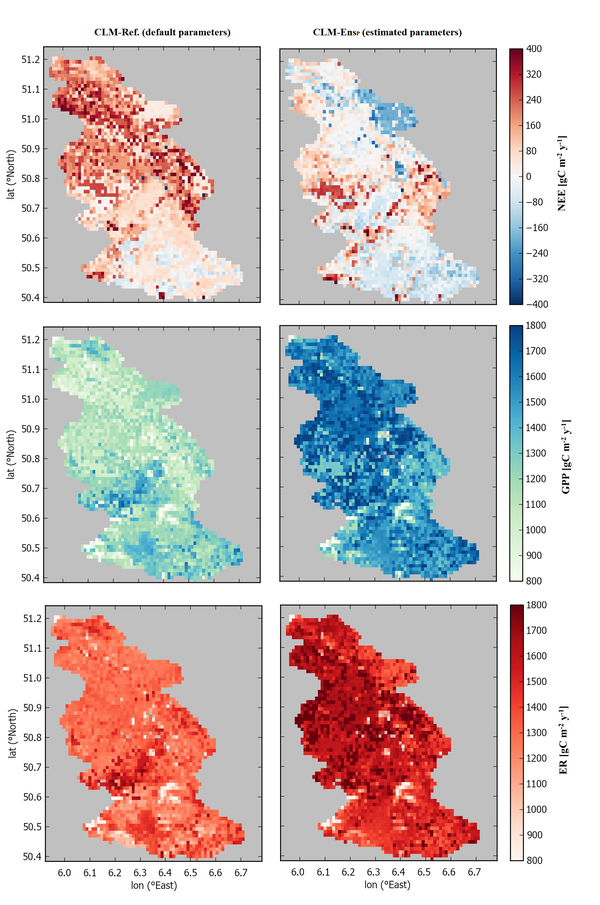 Upscaling of biogeochemical fluxes to characterize regional carbon balanc