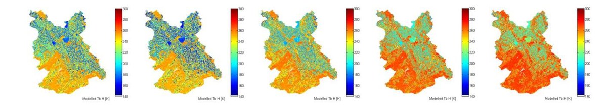 Helmholtz-Alliance “Remote Sensing and Earth System Dynamics”