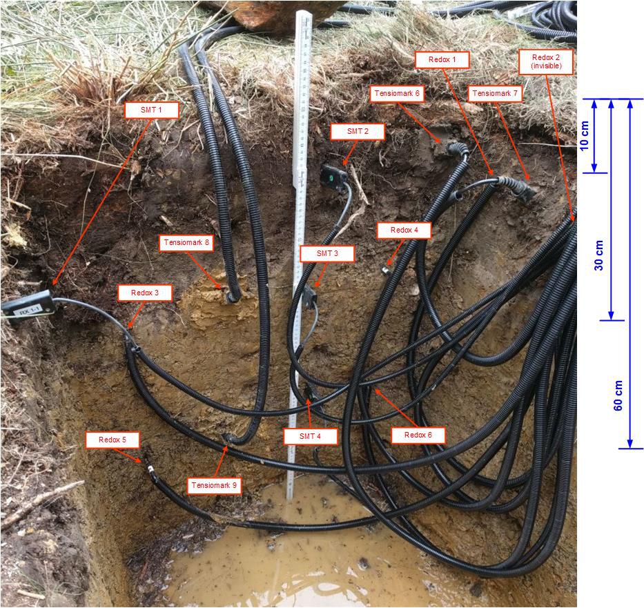 SoilNet Photo Gallery