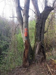 SoilNet Photo Gallery